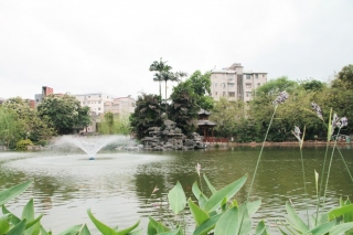 欽州市中(zhōng)山公園改擴建工(gōng)程施工(gōng)